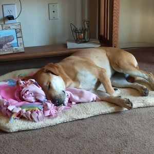 Meet your Posher, Terry